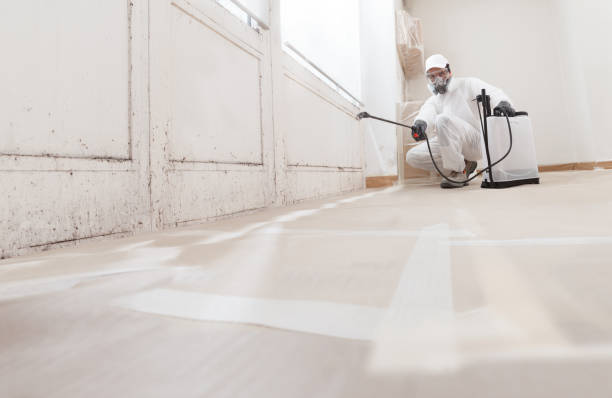 24/7 Emergency Mold Testing experts in DeWitt, MI