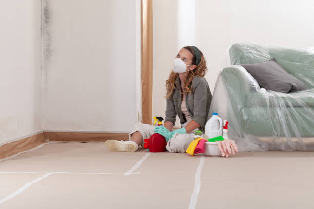 Reliable Mold Testing contractor in DeWitt, MI by WQB Mold Removal